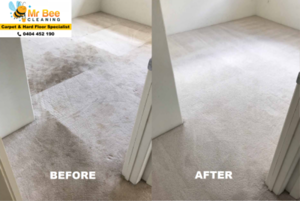 Carpet 2.png