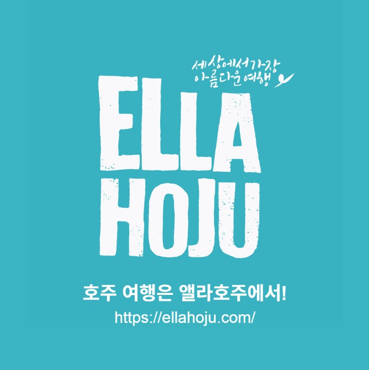 화면 캡처 2025-07-11 145722.jpg