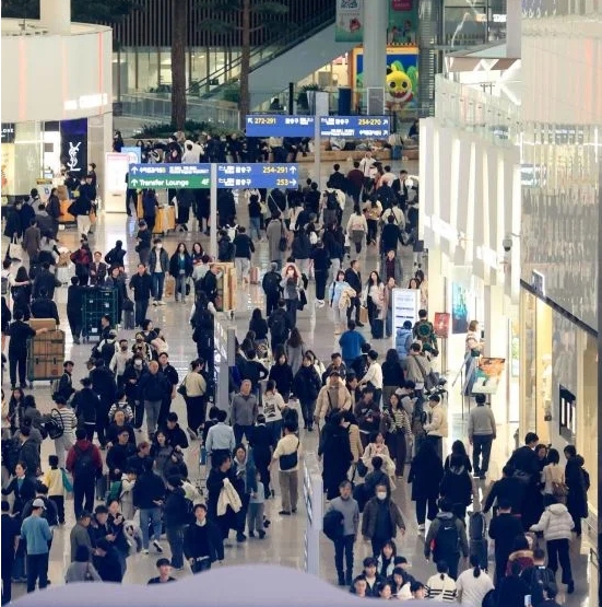 172.jpg